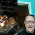 Rex Level - @rex.level - Instagram