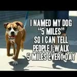 i dont know - @rexlevy56r - Instagram
