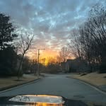 Rex levy - @rexlevy123 - Instagram