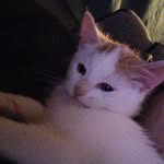 @rexlevy2325 - Instagram