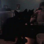 rexlevy - @rexlevy12 - Instagram