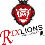 강릉 명문 아이스하키 동호회_팀 렉스 라이온스🦁 - @rexlions_icehockey - Instagram