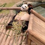 李易融 - @rex___li - Instagram