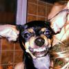 Rex_li - @rex_li - TikTok