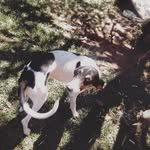 @rex_lindo478 - Instagram
