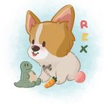 Rex • เร็กซึ • レックス • ૮・ᴥ・ა - @rex.littlelegscorgi - Instagram