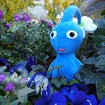 Rex Little - @r952949 - Instagram