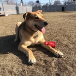 Rex - @rexlittlebear - Instagram