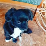 Rex Lopez - @rexlopez3 - Instagram