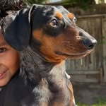 Rex Lopez - @_rextheweenie - Instagram