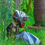 Rêx Lørd - @sarna_boy_99_ - Instagram