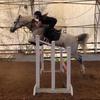 Lex Lowther - @lex._equestrian - TikTok