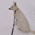 Ludwig - @rex._.ludwig - Instagram