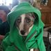 Rex Ludwig - Facebook