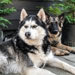 ＲＥＸ & ＬＵＮＡ - @rex_luna__ - Instagram