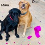 Rex & Luna Ladd - @rex_luna_ladd - Instagram