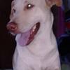 Rex Luna - @rex.lg12 - TikTok