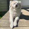 Rex2900 - @rex.luther - TikTok