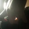 Rex Lyon - @rex46875436789654 - TikTok
