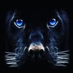 rex Lyon - @leo_thelion41 - Instagram