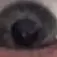 Rex Lyon - @rexxie.the.muffin - TikTok