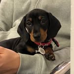 Rex MacDonald - @_wreckitrex - Instagram