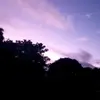RexRyanMacdonald - @rexmacdonald97 - TikTok