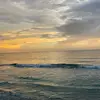 Rex McCormack - @rex.mccormack - TikTok