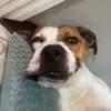 rex - @rex_smack - TikTok