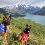Maddox & Rex - @maddox.rex - Instagram