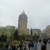 rex.madison0 - @rex.madison0 - TikTok