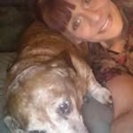 Mallory’s Lularoe With Rexy & - @malloryslularoewithrexyjo - Instagram
