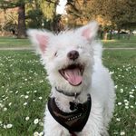 Rex Malone - @_rexmalone - Instagram