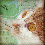 Rex Manning - @rexmanning2 - Instagram