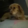 marley . - @marleyrex - TikTok