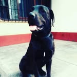 Rex Marley - @rex_marley_ - Instagram