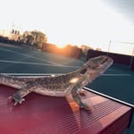 Rex Marquez - @bad_bitch_rex - Instagram
