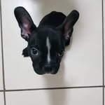 rexbosColima - @rexmarquez6 - Instagram