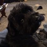 Rex A. Martindale - @rex327 - Instagram