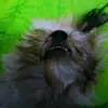Friday night funkin - @rexmartins - TikTok