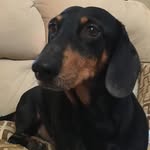 Rex Mason - @rich.homie.rex - Instagram