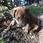 Rex Mason - @rexmason1 - Instagram