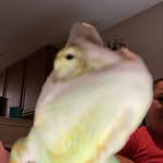 🦖Rex🦖 - @rexmaster_stealyogurl100 - Instagram