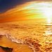 Rex Maximilian - Facebook