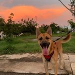 Rex Mayo López 🐾 - @rex__09_ - Instagram