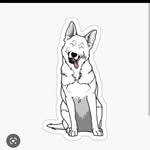 Rex Mccallum - @hi_im_rex_ - Instagram