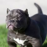 Rex P Mccallum - @rex_mccallum214 - Instagram