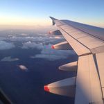 Rex Mcdowell - @rexmcdowell47 - Instagram