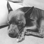Rex McFadden - @mcfaddenrex - Instagram