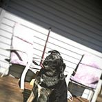 Rex McGrath - Facebook